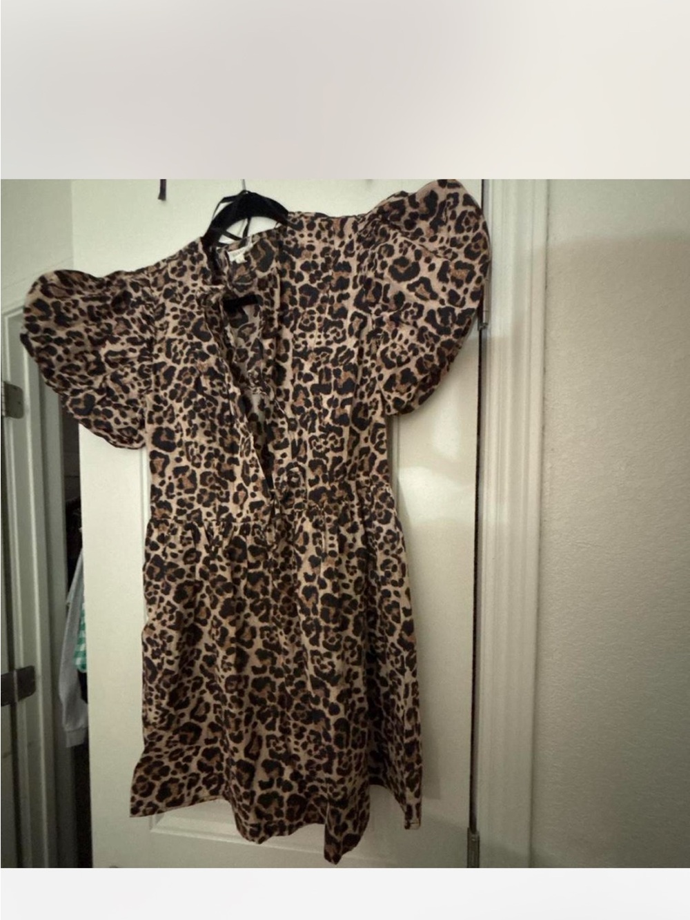 Leopard Print Puff Sleeve Mini Dress - Brown